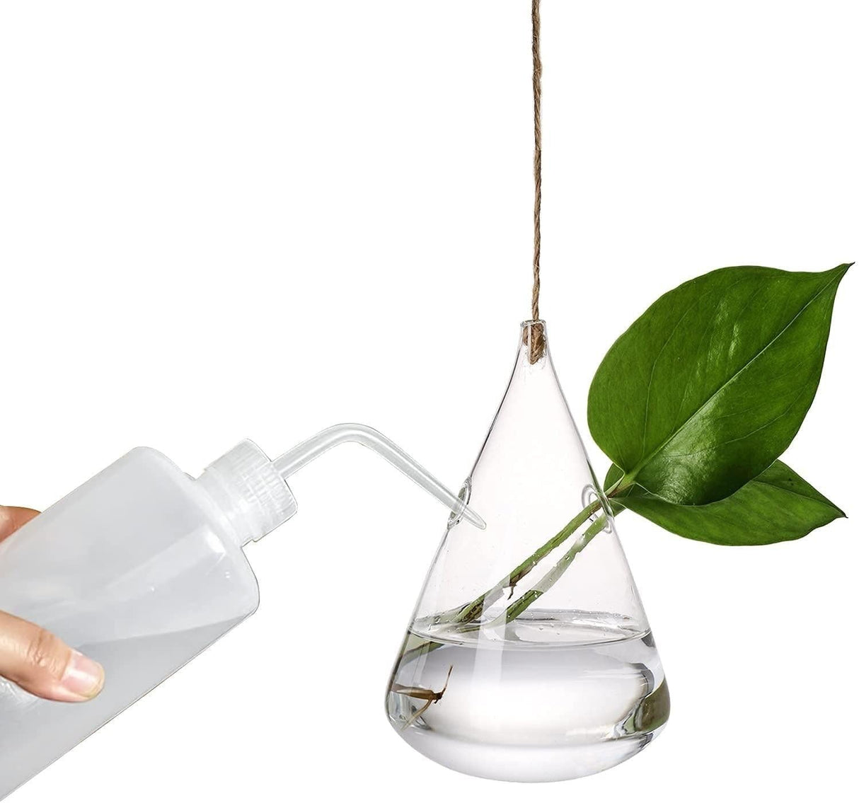 GlasLuxe 3-teiliges Set Glas-Hänge-Terrarienvasen | Elegante Pflanzenhalter | Deko für Zuhause