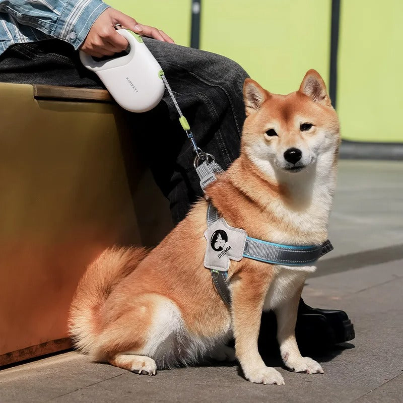 SwiftPaw Automatische Rollleine für Hunde | Rückziehbare Leine | Ergonomisch & Robust | Für Kleine bis Große Hunde