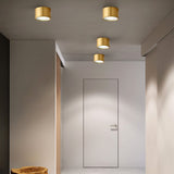 LumaBrass LED Deckenstrahler | Zylindrisches Design | Moderne Flush Mount Beleuchtung | Neutralweiß (4000K)