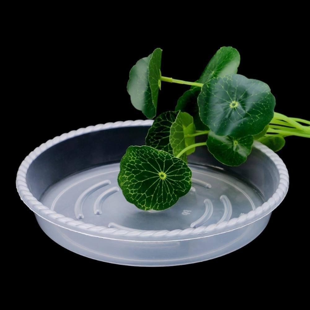 PlanterShield 10-teiliges Transparentes Kunststoff-Untersetzer-Set | Pflanzenschutz für Zuhause und Garten