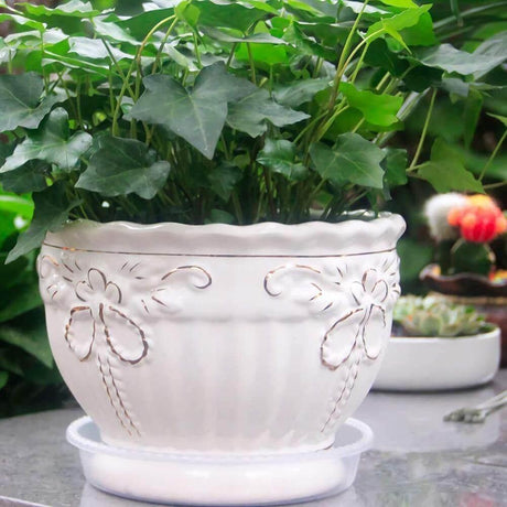 PlanterShield 10-teiliges Transparentes Kunststoff-Untersetzer-Set | Pflanzenschutz für Zuhause und Garten