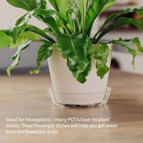 PlanterShield 10-teiliges Transparentes Kunststoff-Untersetzer-Set | Pflanzenschutz für Zuhause und Garten