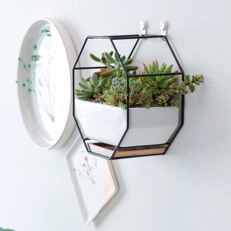 GeoFrame Keramik Wandpflanztopf mit Metallrahmen | Octagon Design
