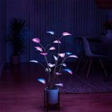 GreenGlow LED Pflanzennachtlampe | Dekorative Beleuchtung | Umweltfreundlich | Modernes Design