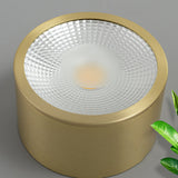 LumaBrass LED Deckenstrahler | Zylindrisches Design | Moderne Flush Mount Beleuchtung | Neutralweiß (4000K)
