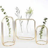 FloraFloat Eisen-Glas-Geometrische Vase | Schwebe-Design für Pflanzenvermehrung & Dekoration | In Gold & Rosébraun | Verschiedene Größen