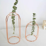 FloraFloat Eisen-Glas-Geometrische Vase | Schwebe-Design für Pflanzenvermehrung & Dekoration | In Gold & Rosébraun | Verschiedene Größen