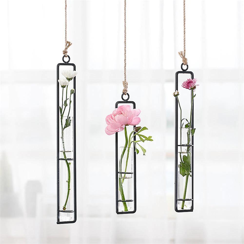 FloatTerrarium Hängendes Glas-Terrarium | Eisenhalterung | Modernes Design | Perfekt für Pflanzenvermehrung & Dekoration
