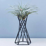 GeoTwist Metall Air Pflanzenhalter | Modernes Design | Geometrische Deko