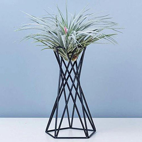GeoTwist Metall Air Pflanzenhalter | Modernes Design | Geometrische Deko