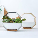 GeoFrame Keramik Wandpflanztopf mit Metallrahmen | Octagon Design
