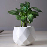 GeoBloom Runde Diamant Keramik Sukkulententöpfe | Modernes Design | Verschiedene Größen