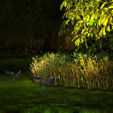 Solivora Solar LED Gartenstrahler | Wasserdicht | Solarbetrieben | Warm- & Kaltweißlicht