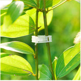 PlantFix Pflanzenhalter Clip Set | Stabilität für Pflanzenstiele | Einfache Befestigung | Unterstützung für gesundes Wachstum