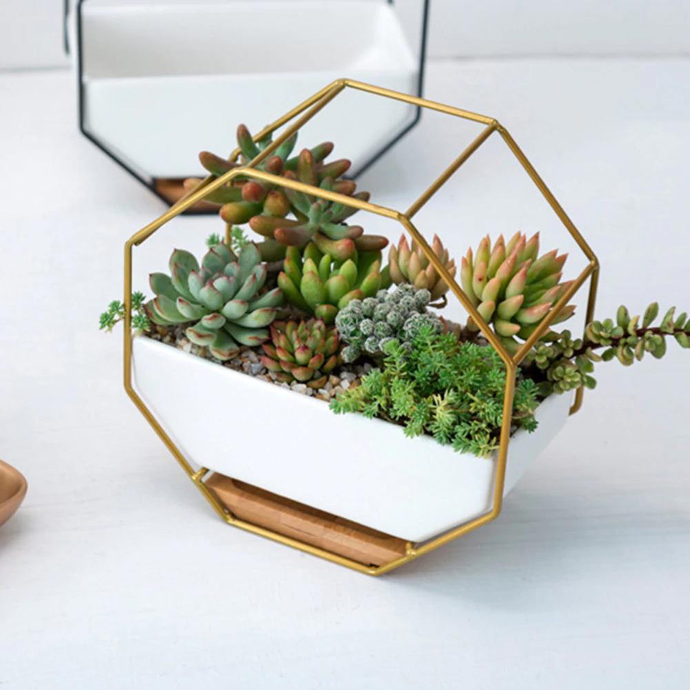 GeoFrame Keramik Wandpflanztopf mit Metallrahmen | Octagon Design