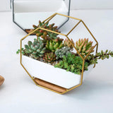 GeoFrame Keramik Wandpflanztopf mit Metallrahmen | Octagon Design