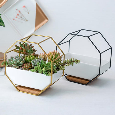 GeoFrame Keramik Wandpflanztopf mit Metallrahmen | Octagon Design