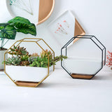 GeoFrame Keramik Wandpflanztopf mit Metallrahmen | Octagon Design