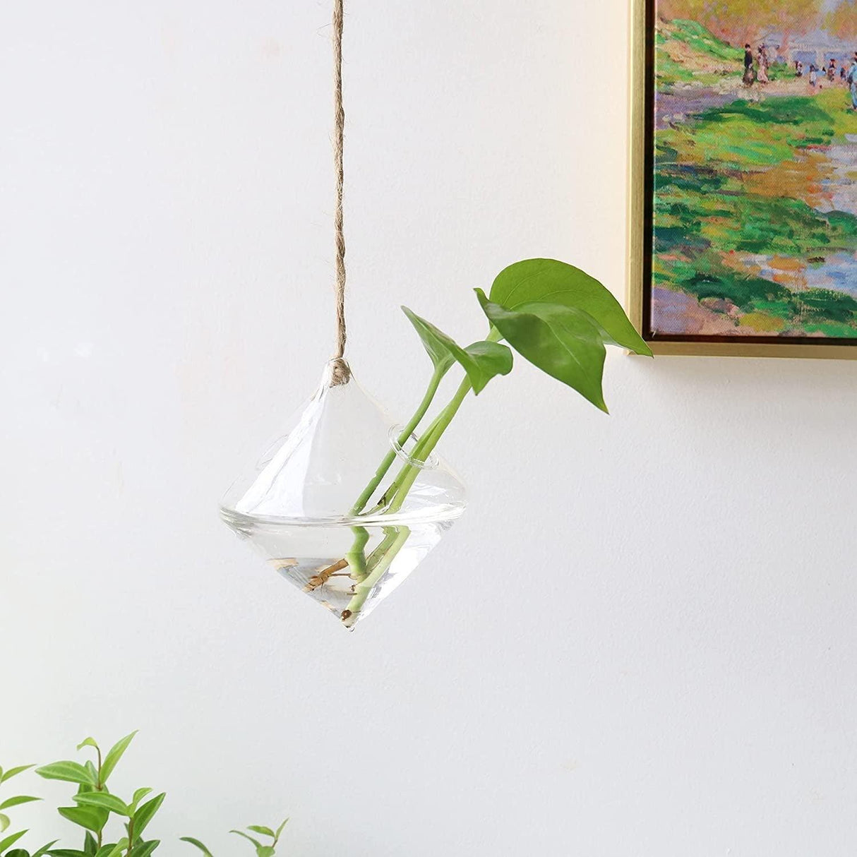 GlasLuxe 3-teiliges Set Glas-Hänge-Terrarienvasen | Elegante Pflanzenhalter | Deko für Zuhause