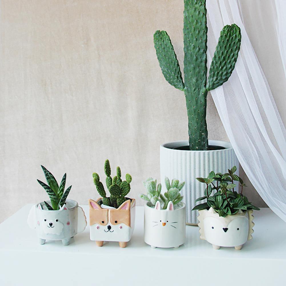 PlanterPets Keramik Tier-Übertopf Set | Quadratische Sukkulententöpfe | Ideal für Innenräume & Dekoration
