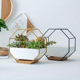 GeoFrame Keramik Wandpflanztopf mit Metallrahmen | Octagon Design