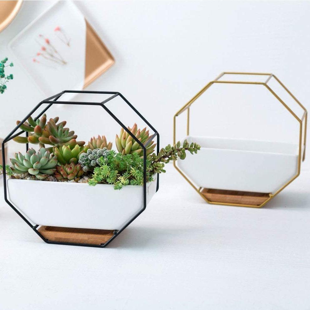 GeoFrame Keramik Wandpflanztopf mit Metallrahmen | Octagon Design