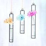 FloatTerrarium Hängendes Glas-Terrarium | Eisenhalterung | Modernes Design | Perfekt für Pflanzenvermehrung & Dekoration