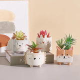 PlanterPets Keramik Tier-Übertopf Set | Quadratische Sukkulententöpfe | Ideal für Innenräume & Dekoration
