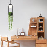 EcoOrb Glas Pendelleuchte | Pflanzenhalter Design | 1-flammige Hängeleuchte | Warmweiß & Weißlicht