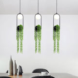 EcoOrb Glas Pendelleuchte | Pflanzenhalter Design | 1-flammige Hängeleuchte | Warmweiß & Weißlicht