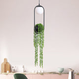 EcoOrb Glas Pendelleuchte | Pflanzenhalter Design | 1-flammige Hängeleuchte | Warmweiß & Weißlicht