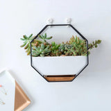 GeoFrame Keramik Wandpflanztopf mit Metallrahmen | Octagon Design