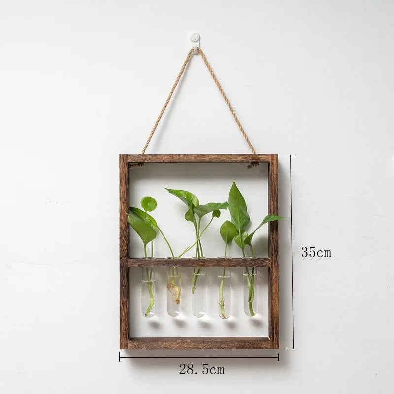 EcoFrame Pflanzenvermehrungsrahmen | Stilvolle Dekoration & Hydrokultur-Display | Modernes Design