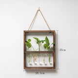 EcoFrame Pflanzenvermehrungsrahmen | Stilvolle Dekoration & Hydrokultur-Display | Modernes Design