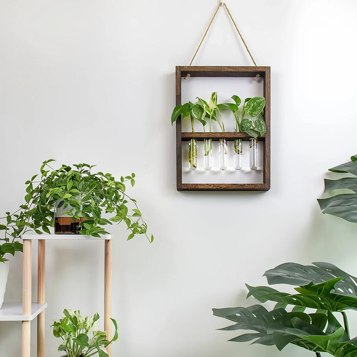 EcoFrame Pflanzenvermehrungsrahmen | Stilvolle Dekoration & Hydrokultur-Display | Modernes Design