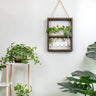 EcoFrame Pflanzenvermehrungsrahmen | Stilvolle Dekoration & Hydrokultur-Display | Modernes Design