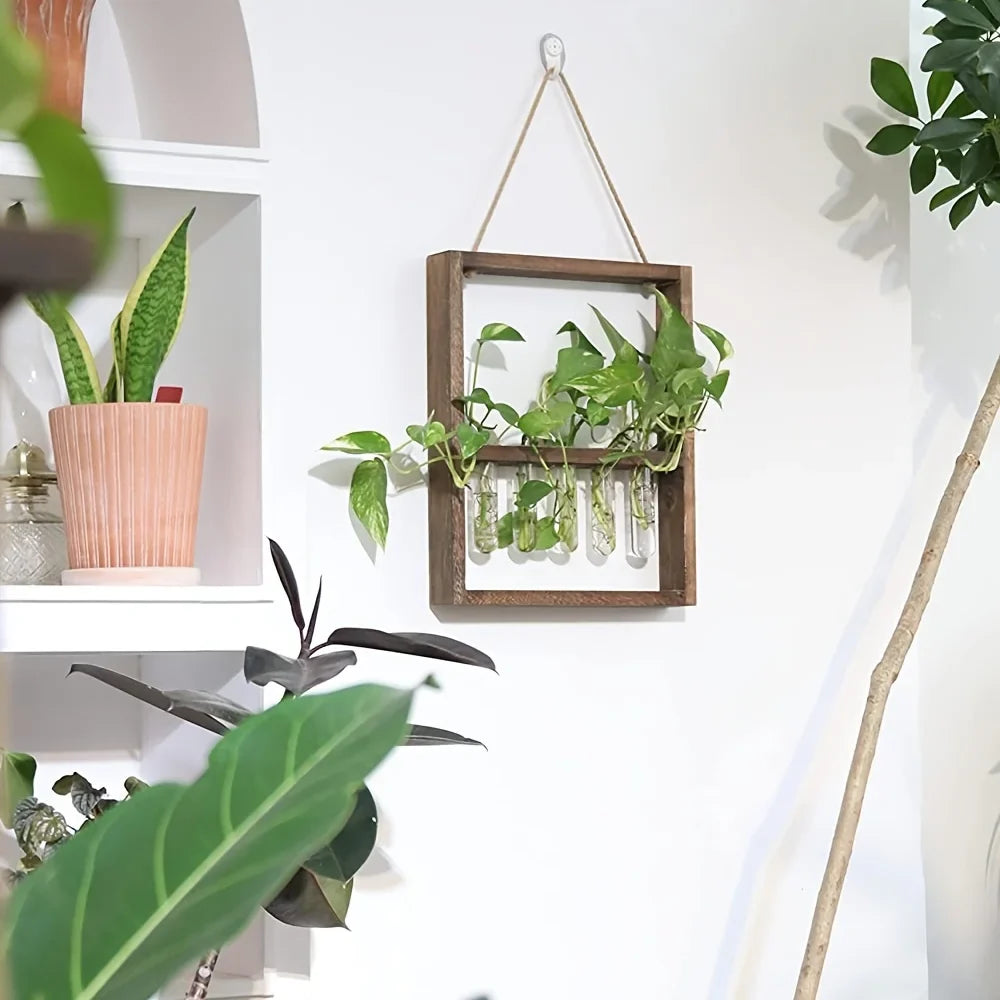 EcoFrame Pflanzenvermehrungsrahmen | Stilvolle Dekoration & Hydrokultur-Display | Modernes Design