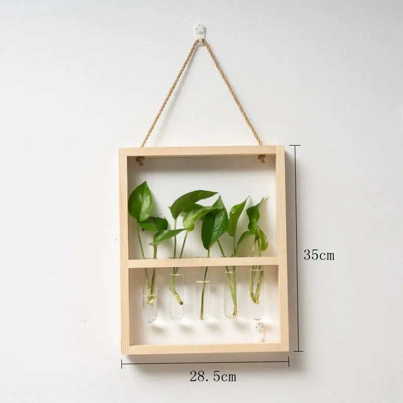 EcoFrame Pflanzenvermehrungsrahmen | Stilvolle Dekoration & Hydrokultur-Display | Modernes Design