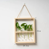 EcoFrame Pflanzenvermehrungsrahmen | Stilvolle Dekoration & Hydrokultur-Display | Modernes Design