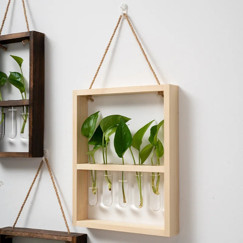 EcoFrame Pflanzenvermehrungsrahmen | Stilvolle Dekoration & Hydrokultur-Display | Modernes Design