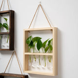 EcoFrame Pflanzenvermehrungsrahmen | Stilvolle Dekoration & Hydrokultur-Display | Modernes Design