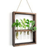 EcoFrame Pflanzenvermehrungsrahmen | Stilvolle Dekoration & Hydrokultur-Display | Modernes Design