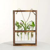 EcoFrame Pflanzenvermehrungsrahmen | Stilvolle Dekoration & Hydrokultur-Display | Modernes Design