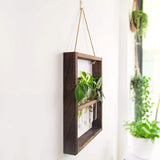 EcoFrame Pflanzenvermehrungsrahmen | Stilvolle Dekoration & Hydrokultur-Display | Modernes Design