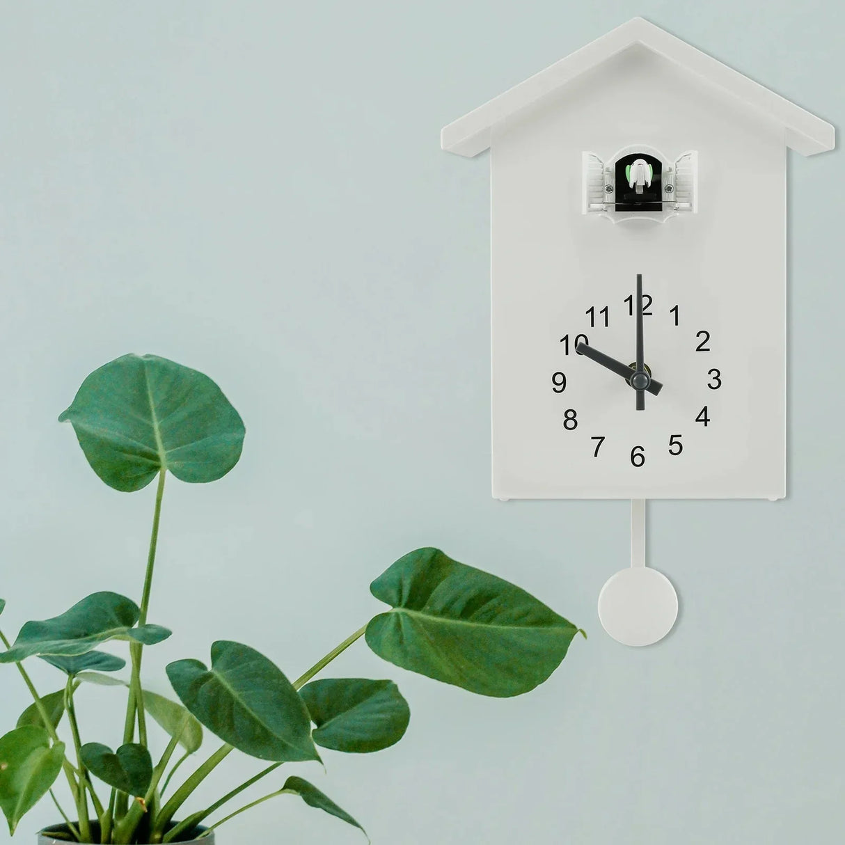 CuckooCharm Kuckucksuhr | Batteriebetrieben | Pendel & Vogelhaus Design | Dekoration für Wohnzimmer & Küche