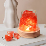PureAura Kristallleuchte | Himalaya Salzlampe mit Öl-Diffusor | Nachtlicht & Luftreinigung