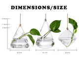 GlasLuxe 3-teiliges Set Glas-Hänge-Terrarienvasen | Elegante Pflanzenhalter | Deko für Zuhause