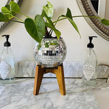 GlamPot Diskokugel-Pflanzgefäß | Stilvolle Dekoration | Modernes Design | Indoor & Outdoor