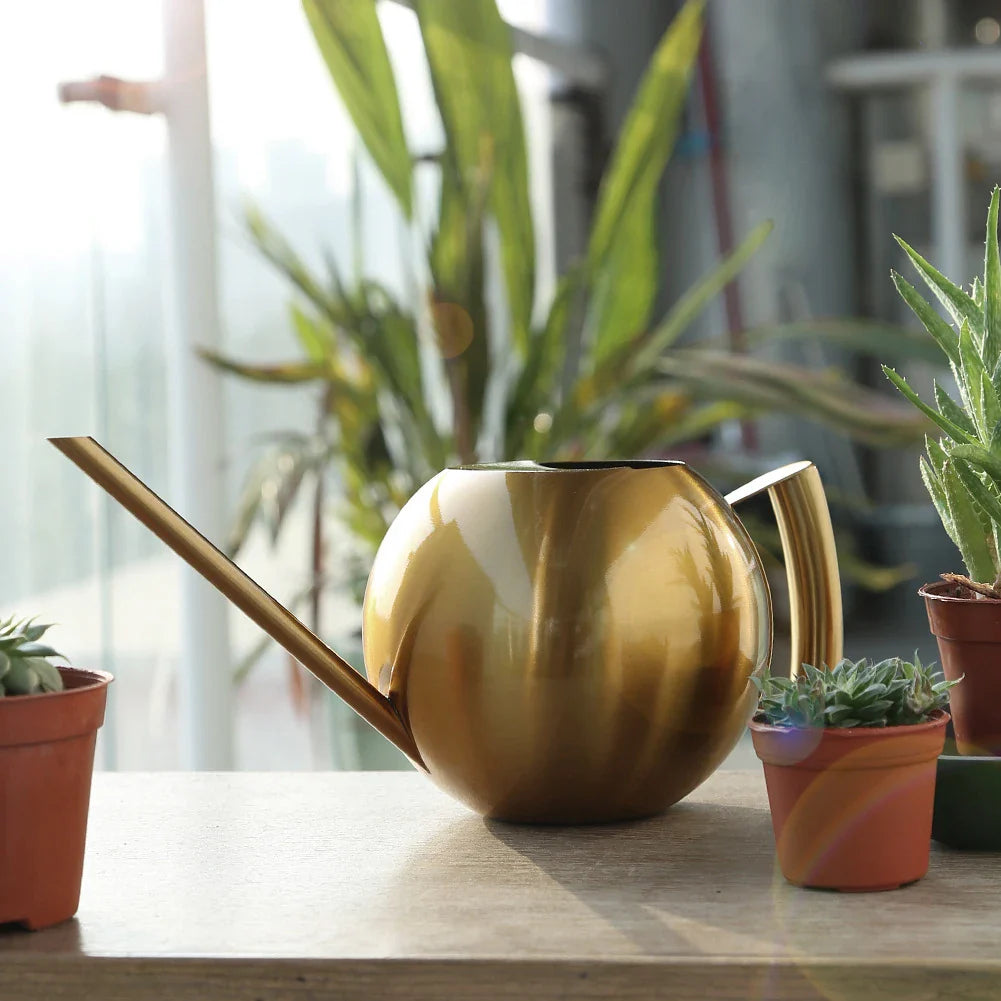 PlantFlow Minimalist Gießkanne | Modernes Design | Perfekt für Zimmerpflanzen