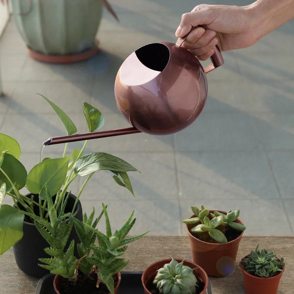 PlantFlow Minimalist Gießkanne | Modernes Design | Perfekt für Zimmerpflanzen